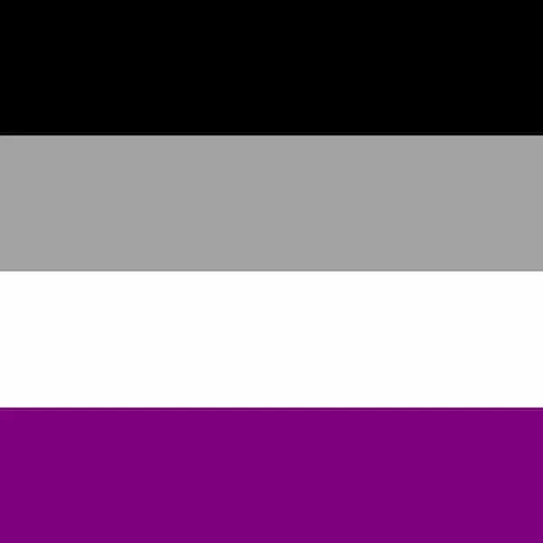 Die Asexuellen-Flagge